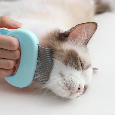 Dog Cat Massage Shell Comb Grooming Hair Removal Shedding Pet Cleaning Brush